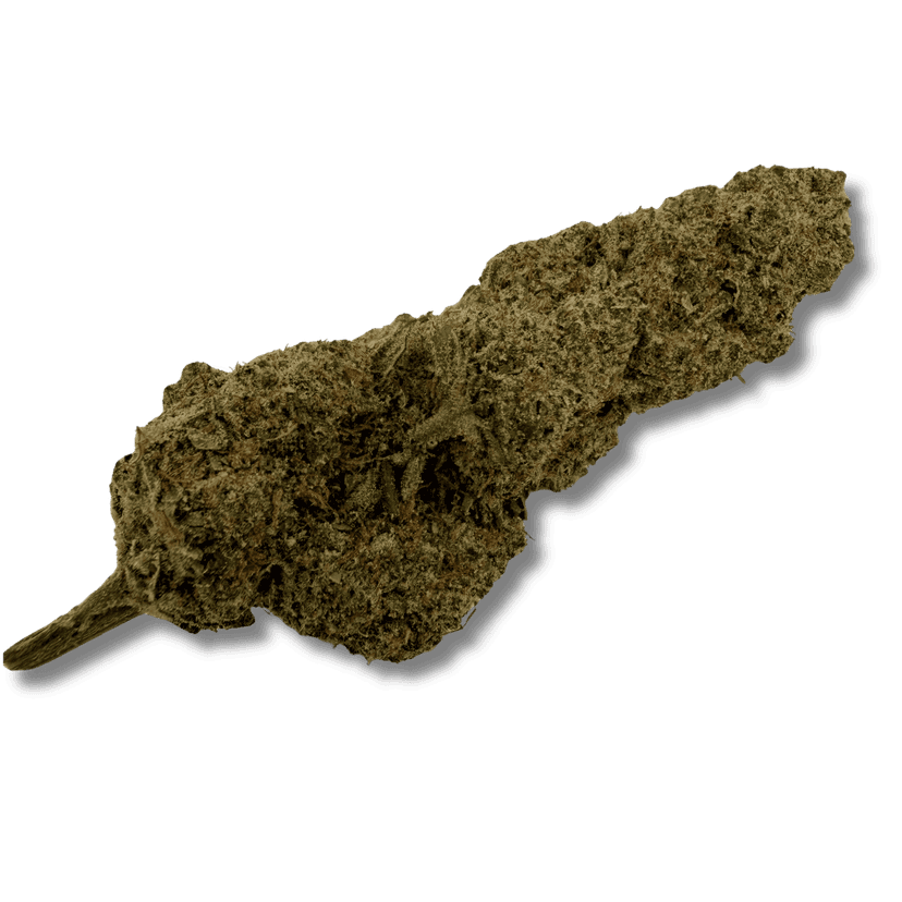 Plutonium Hydro