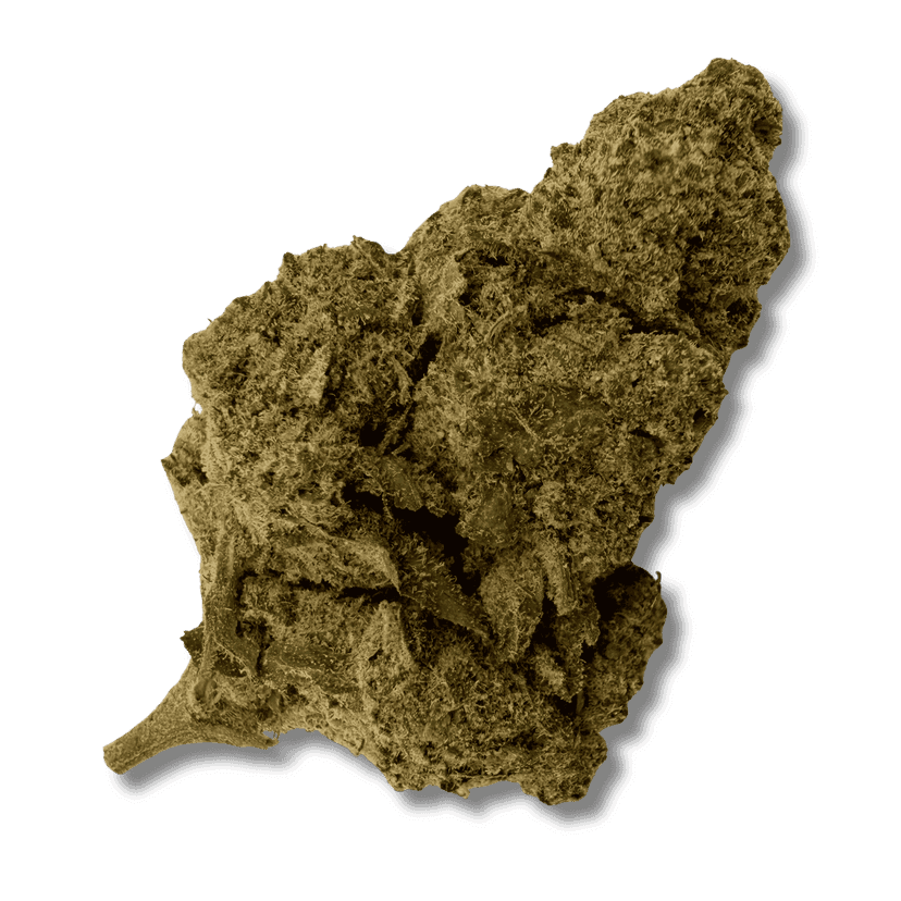 Tropical Kush HCT