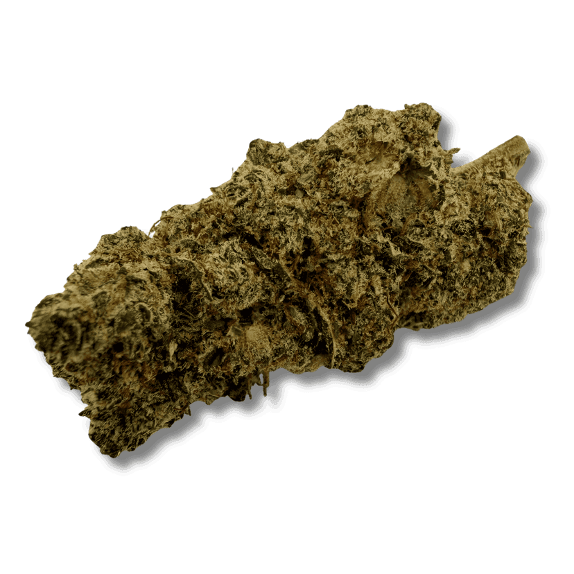 Plutonium Hydro CBC